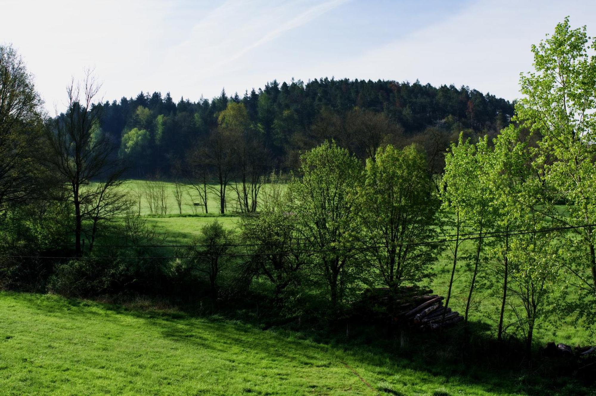 Gasthof Mlyn Kamenice